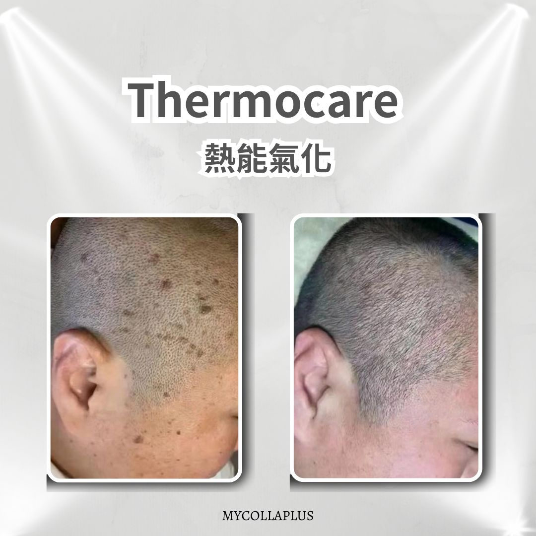 本頁圖片/檔案 - WhatsApp_Image_2025-04-13_at_5.09.24_PM_(1)